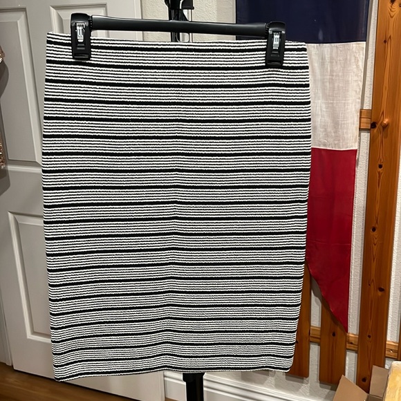 Brand new Loft skirt - Picture 1 of 2